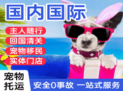 舟山航空快运国际宠物托运 【国